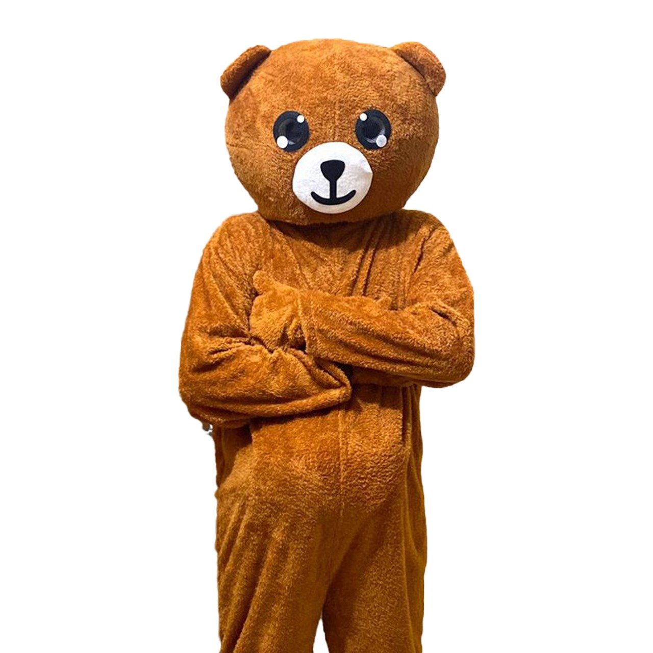 Brawn color small head  teddy bear  Rizvi Online Shopping